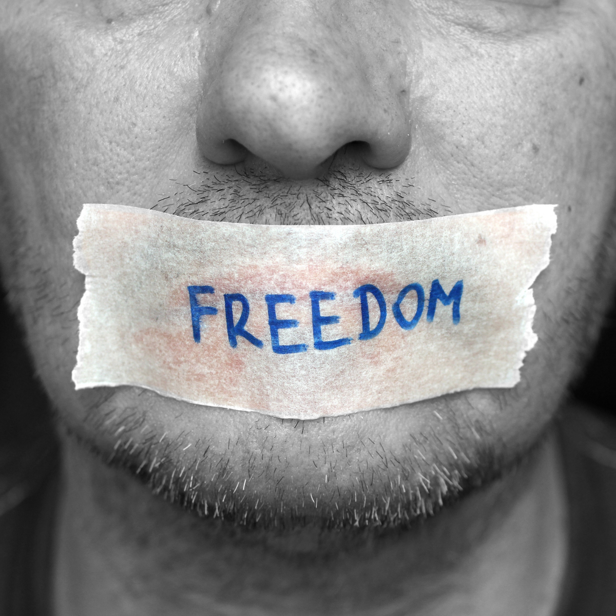 Freedom Talk – Hive City